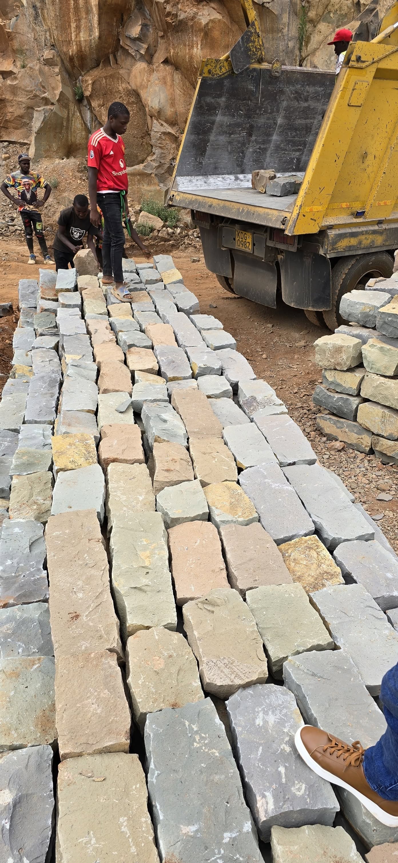 BUSH STONES