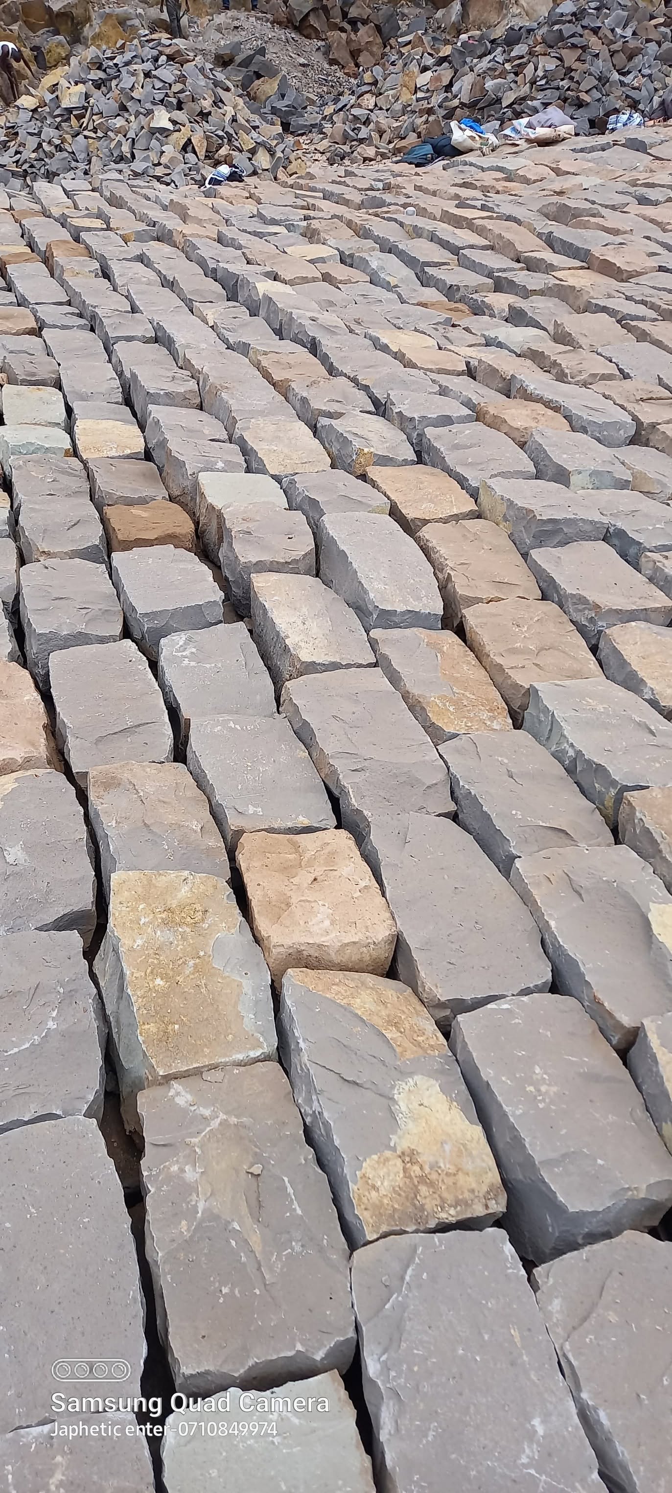 BUSH STONES