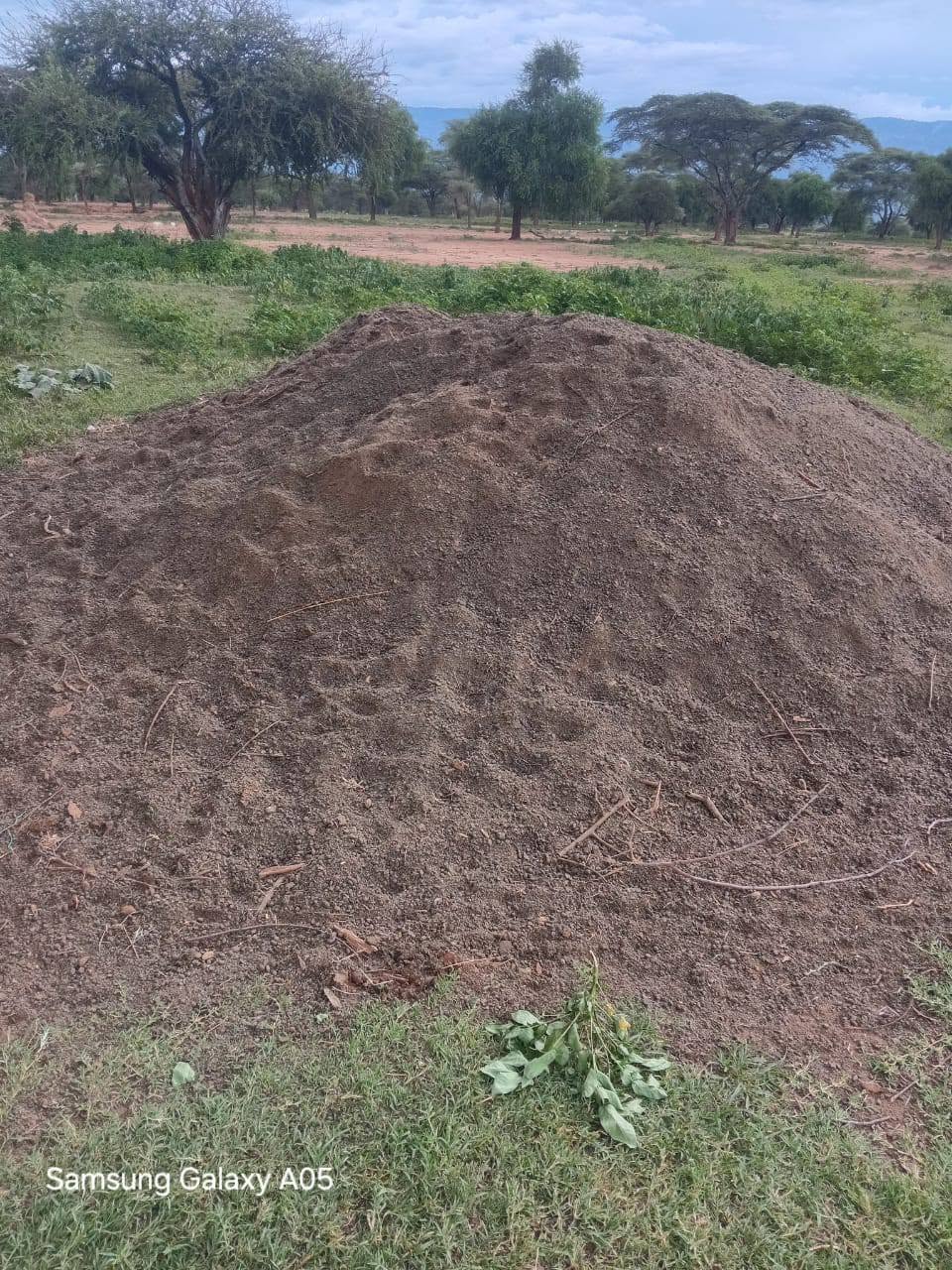 MANURE