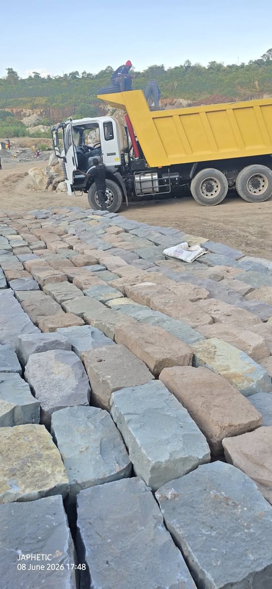 BUSH STONES